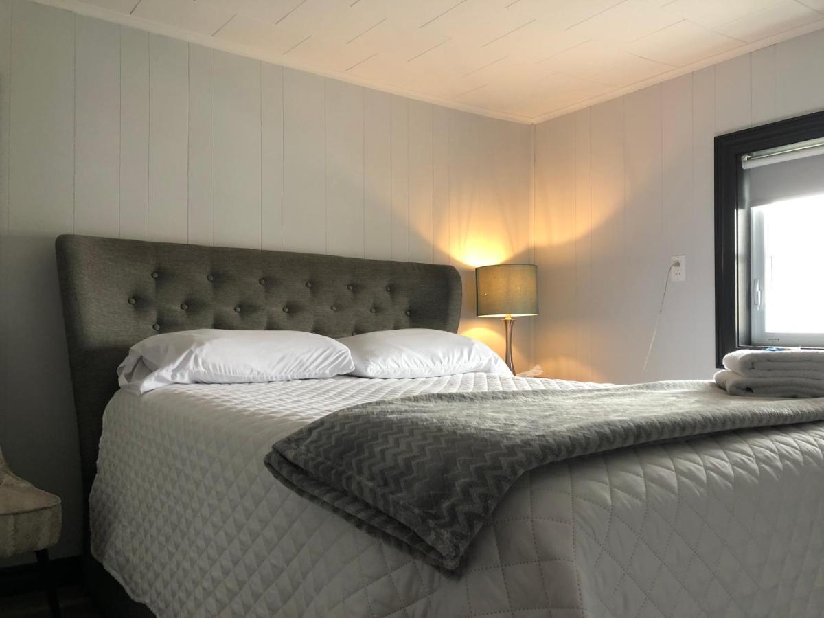 Alma'S Cape Shore Cottage! Your Home Away From Home! Bonavista Eksteriør bilde