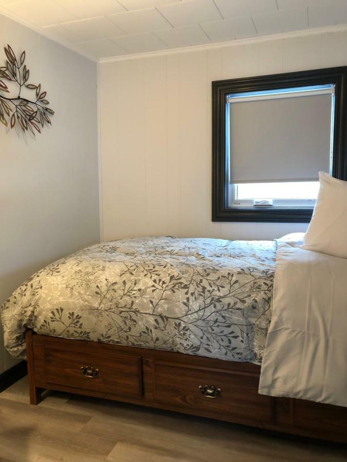 Alma'S Cape Shore Cottage! Your Home Away From Home! Bonavista Eksteriør bilde