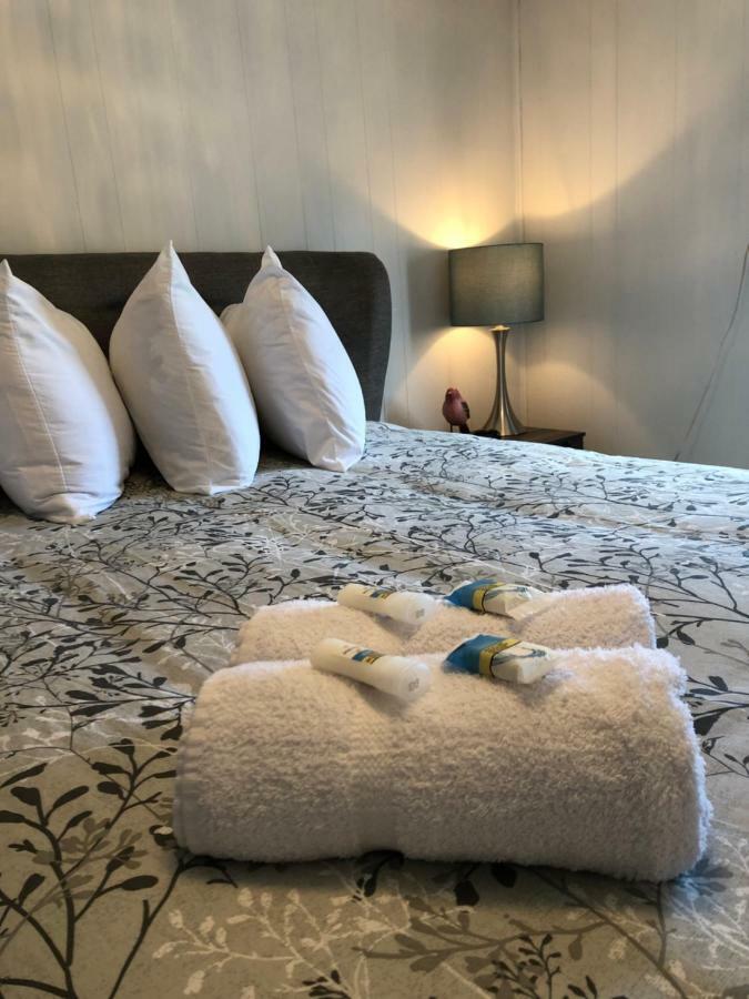 Alma'S Cape Shore Cottage! Your Home Away From Home! Bonavista Eksteriør bilde